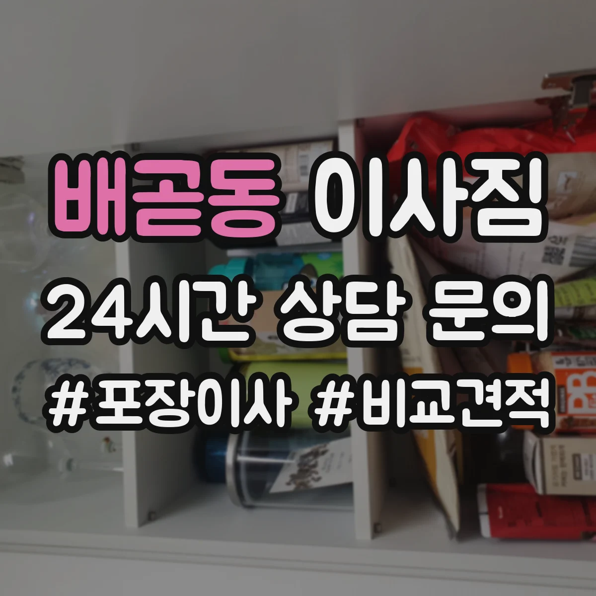 배곧동 이사짐