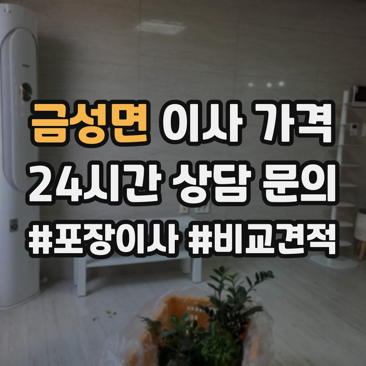 금성면 이사 가격