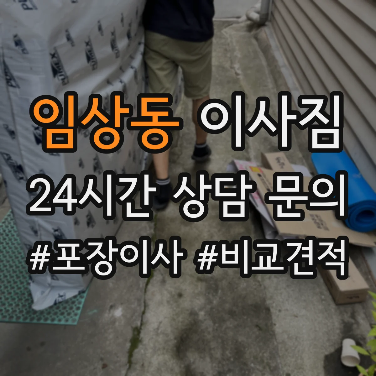 임상동 이사짐