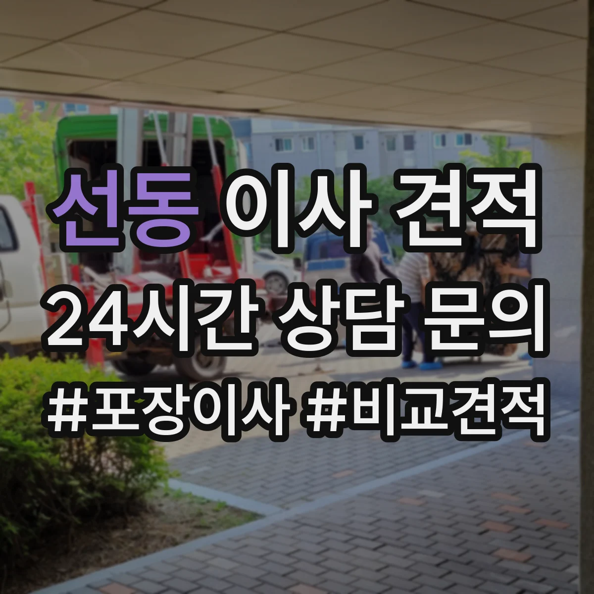 선동 이사 견적