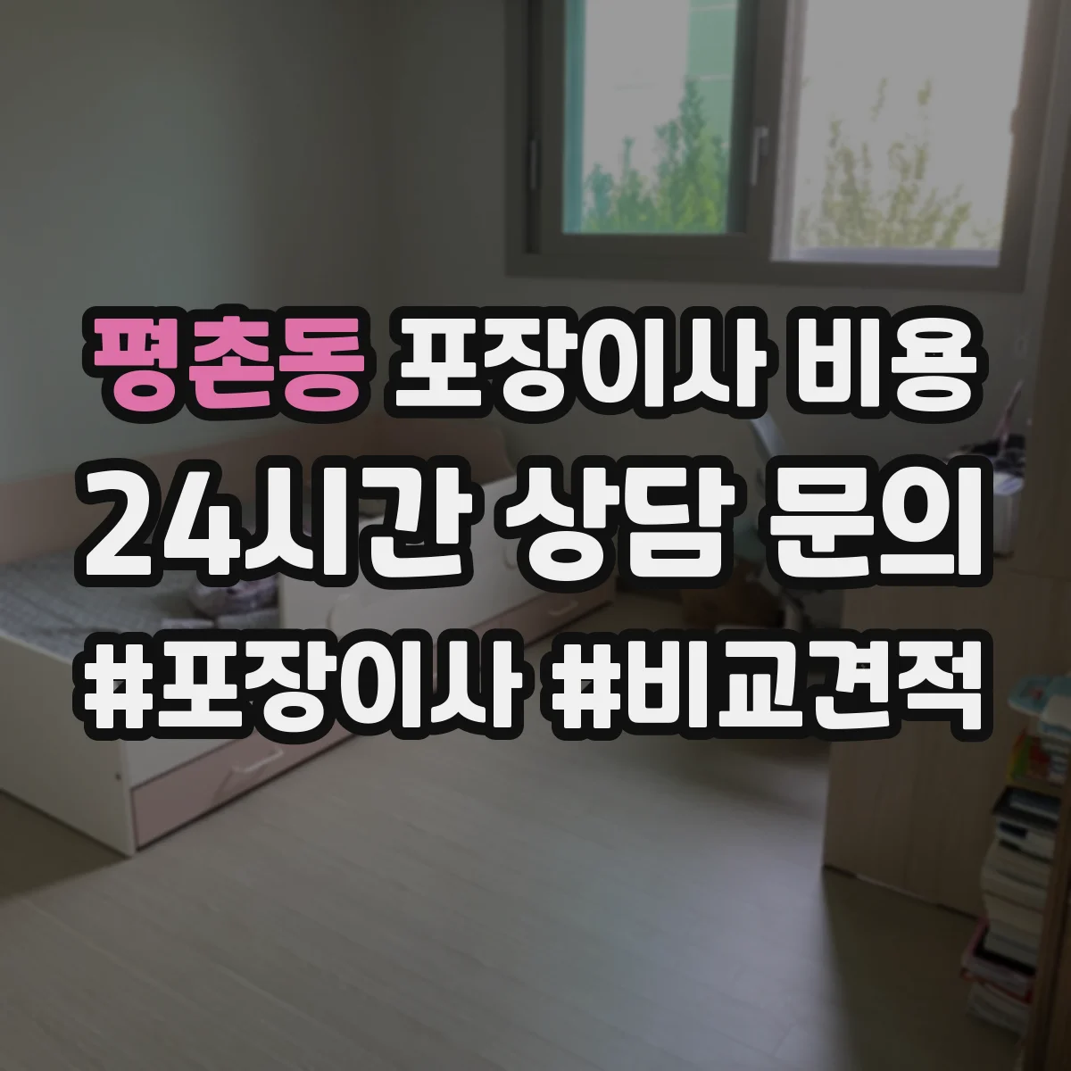 평촌동 포장이사 비용