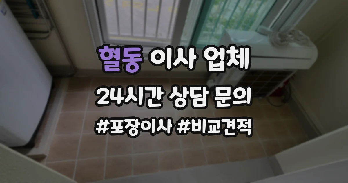 혈동 이사 업체
