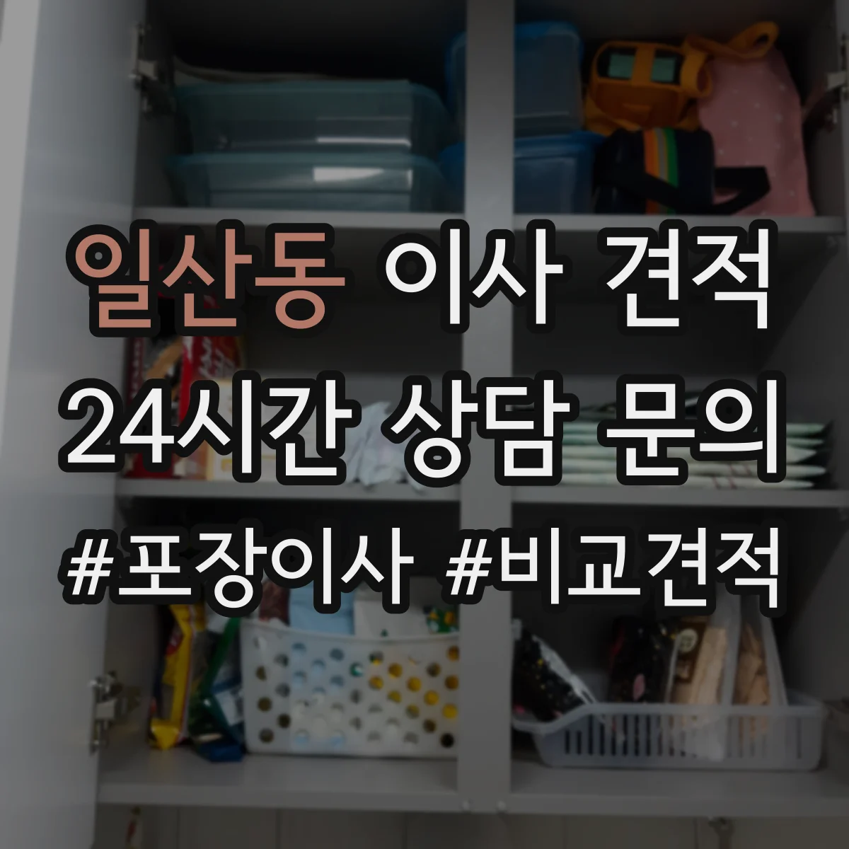 일산동 이사 견적