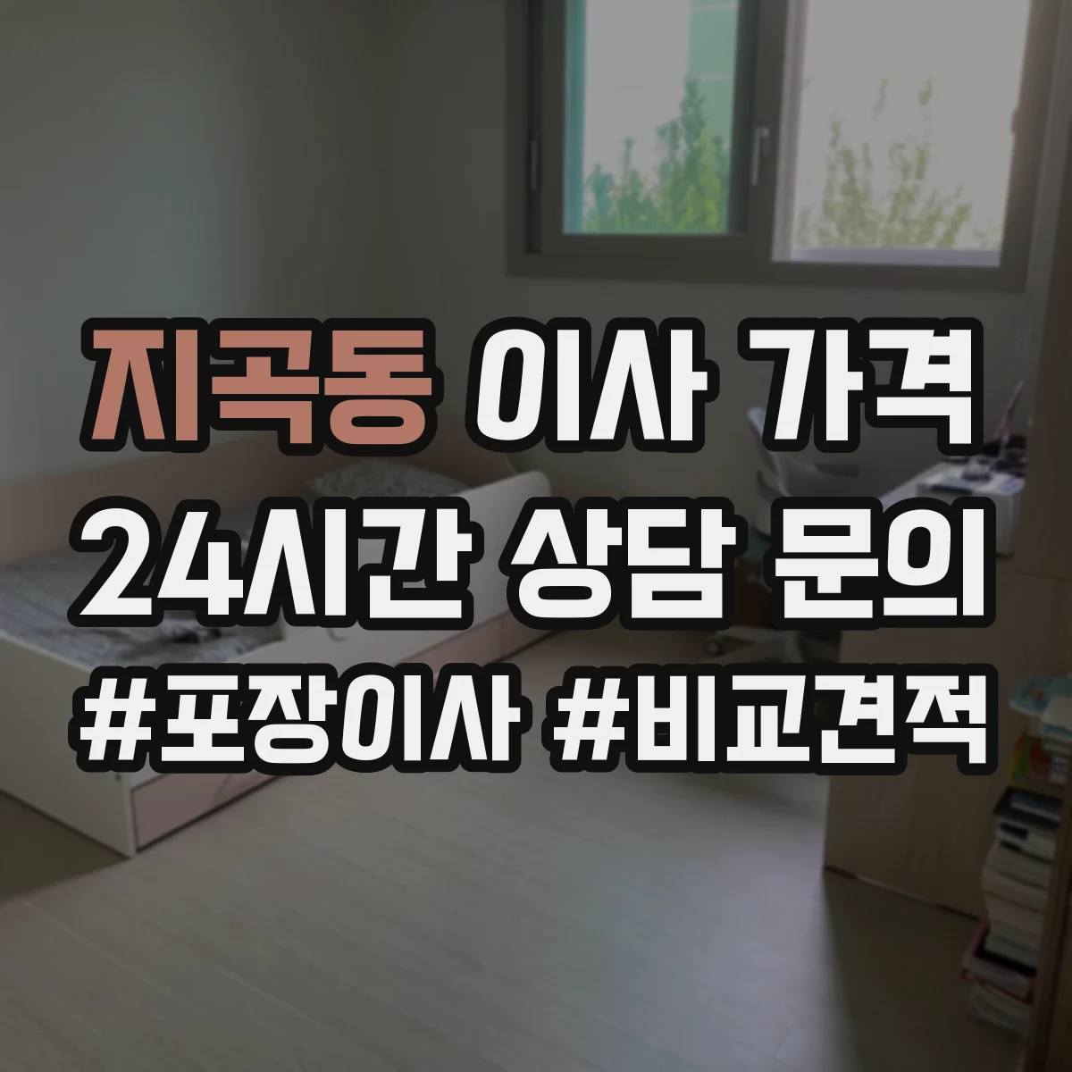 지곡동 이사 가격