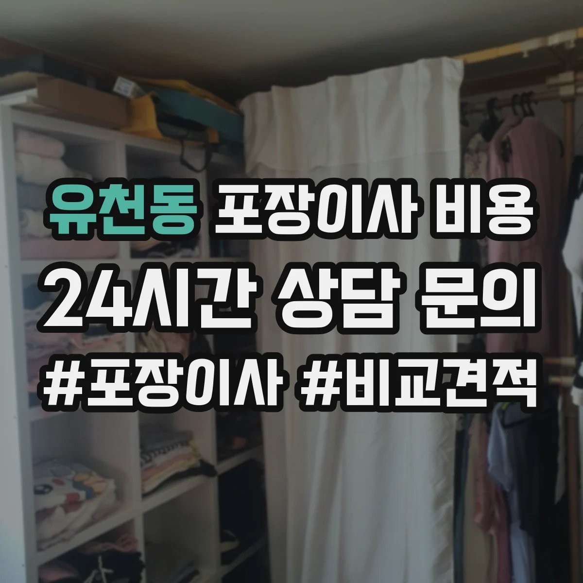 유천동 포장이사 비용