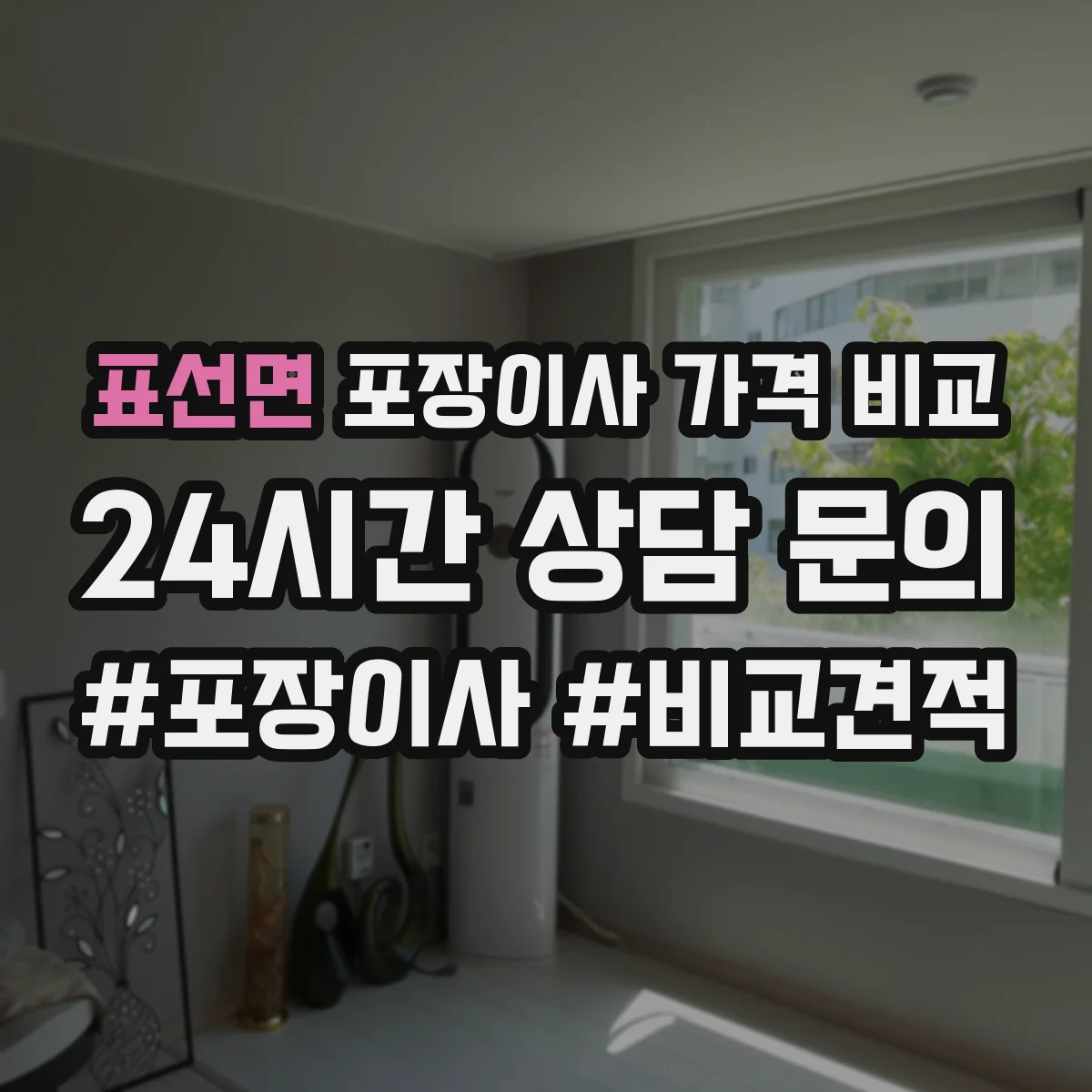 표선면 포장이사 가격 비교