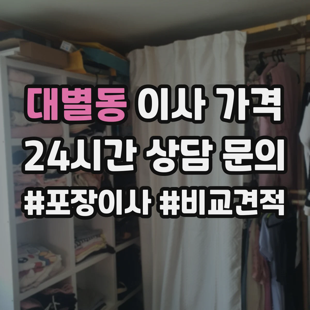 대별동 이사 가격