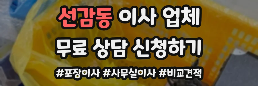 선감동 이사 업체
