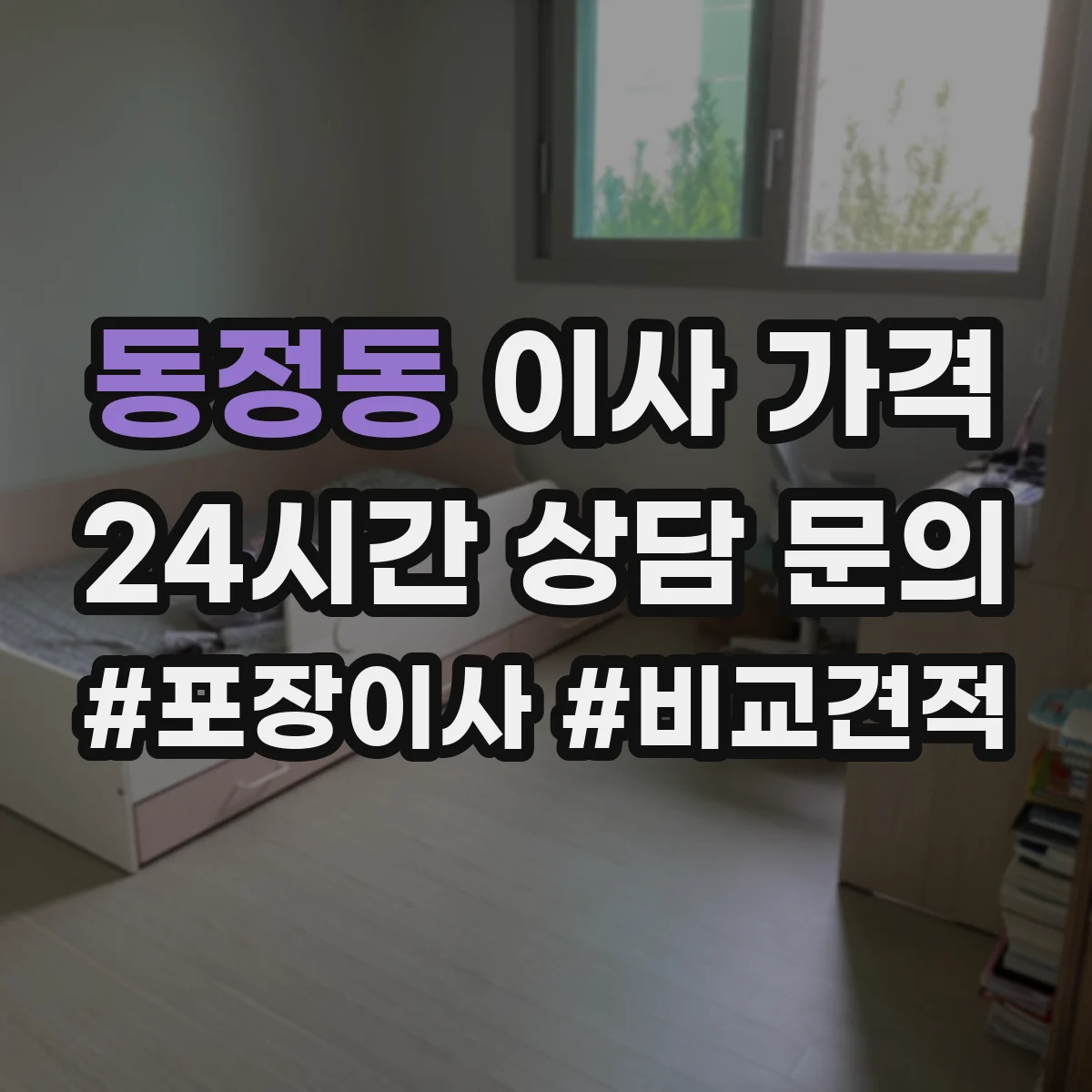 동정동 이사 가격