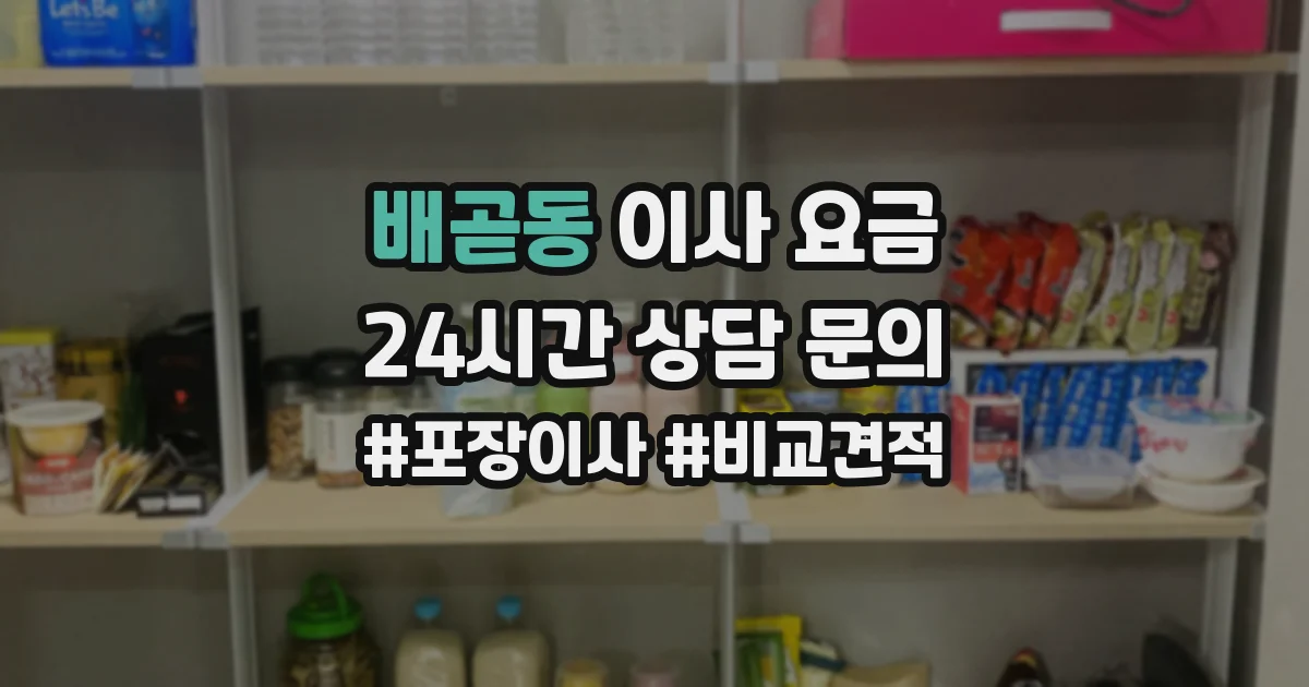 배곧동 이사 요금