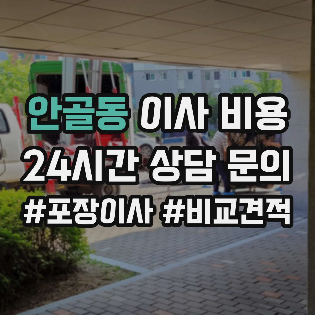 안골동 이사 비용