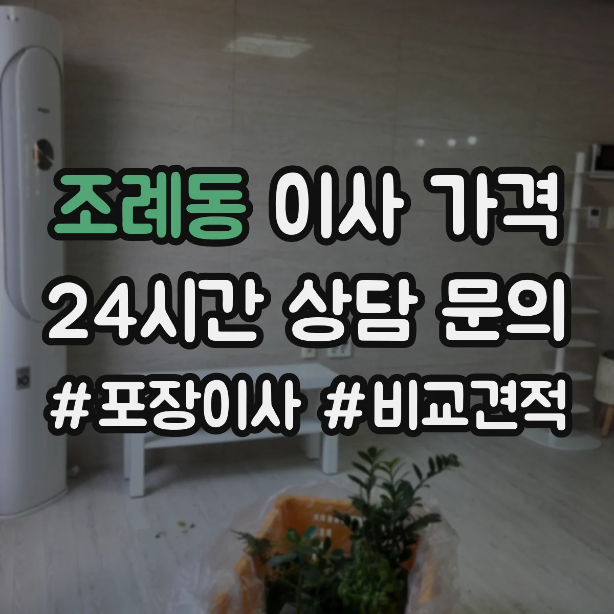 조례동 이사 가격