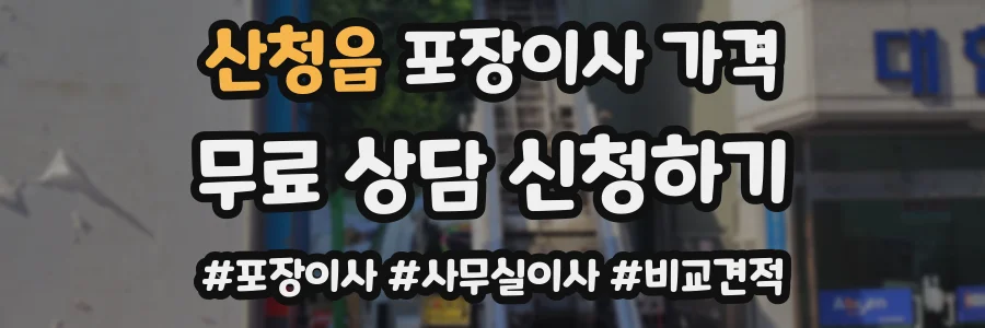 산청읍 포장이사 가격