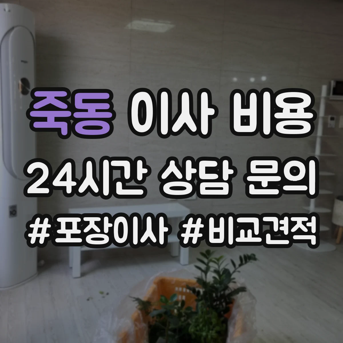 죽동 이사 비용