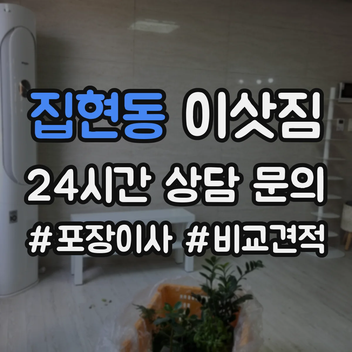 집현동 이삿짐
