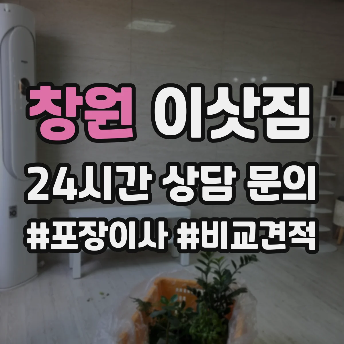 창원 이삿짐