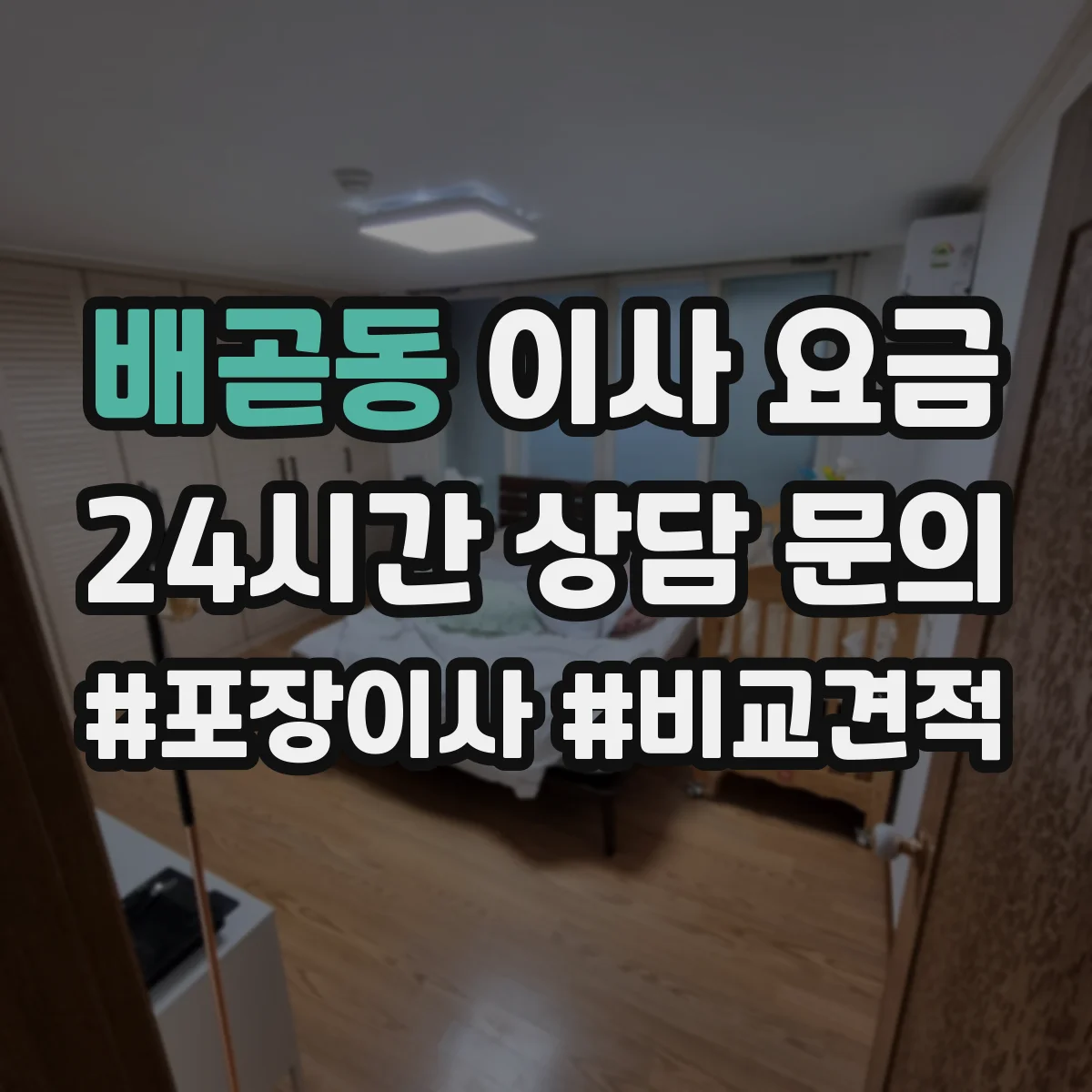 배곧동 이사 요금