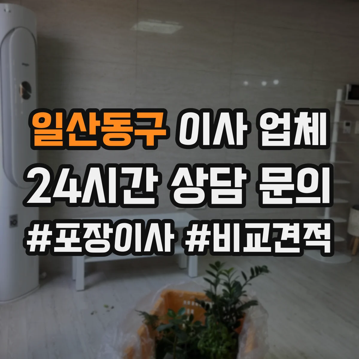 일산동구 이사 업체