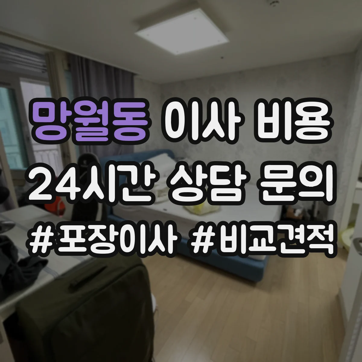 망월동 이사 비용