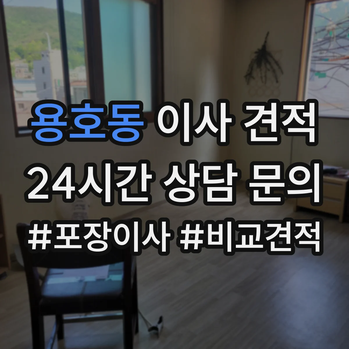 용호동 이사 견적