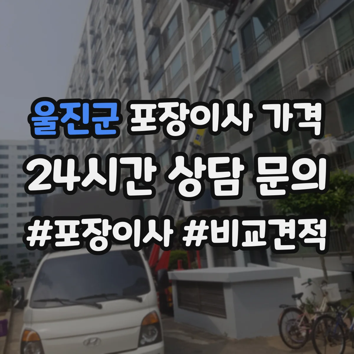 울진군 포장이사 가격