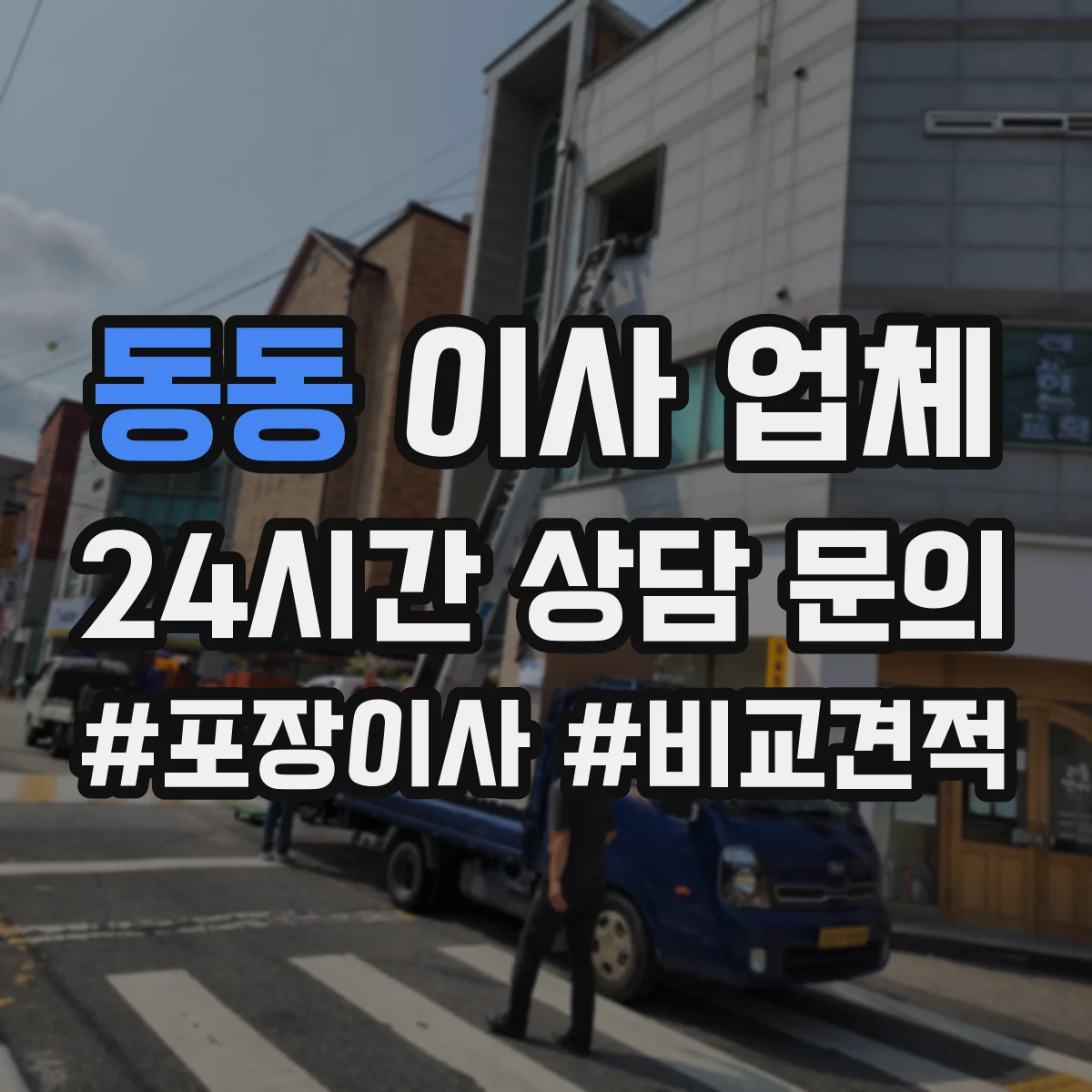 동동 이사 업체