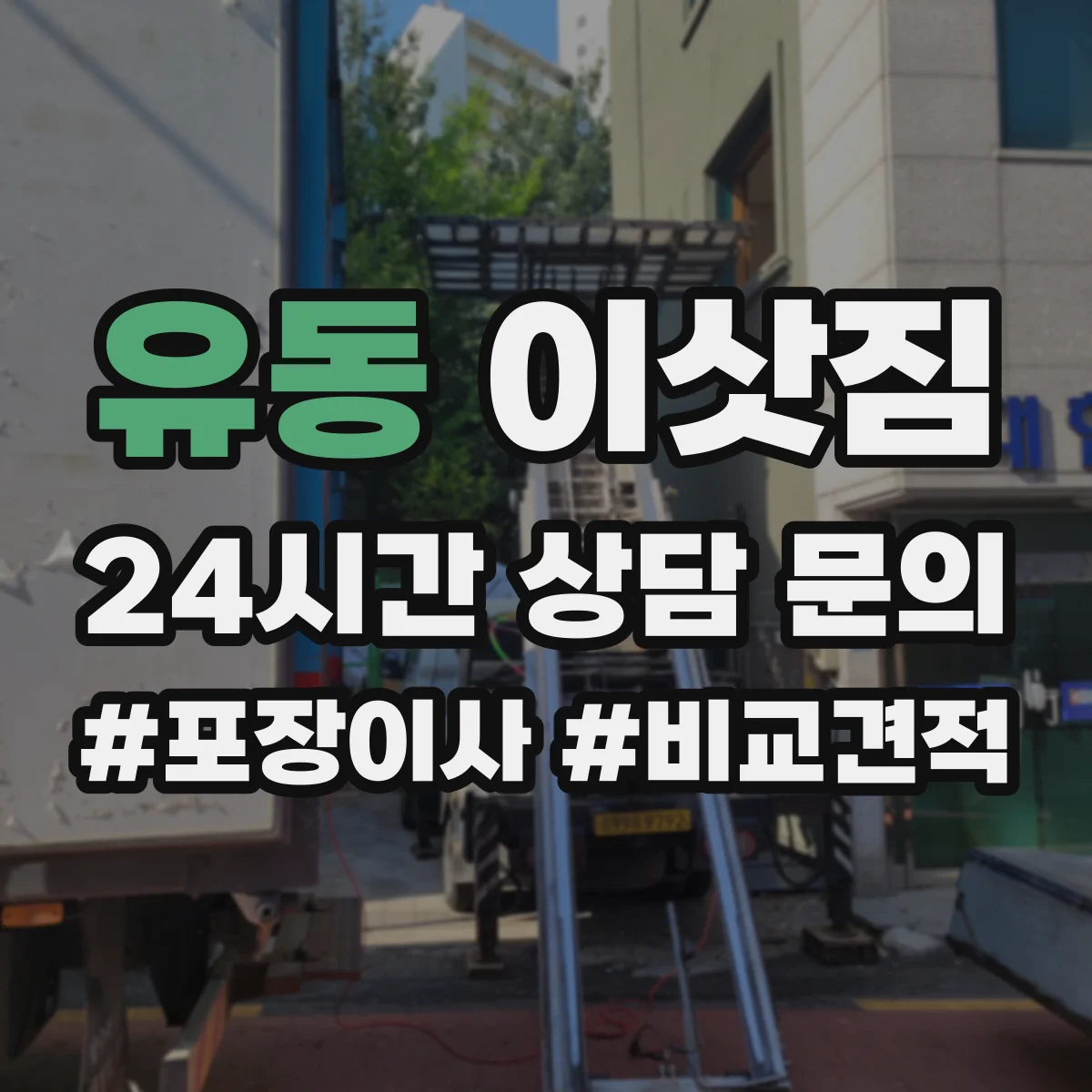 유동 이삿짐