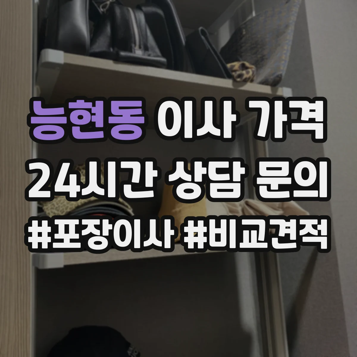 능현동 이사 가격