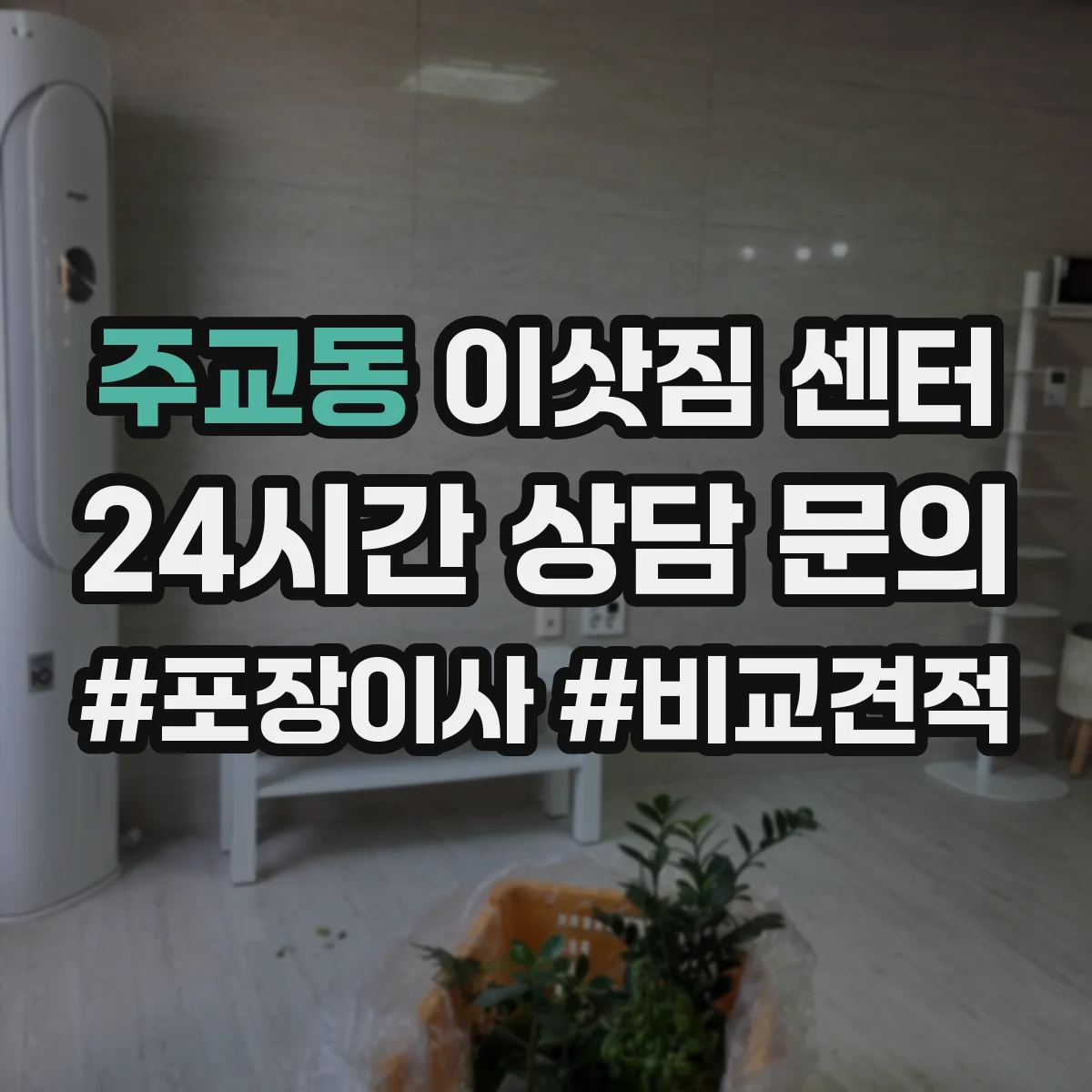 주교동 이삿짐 센터