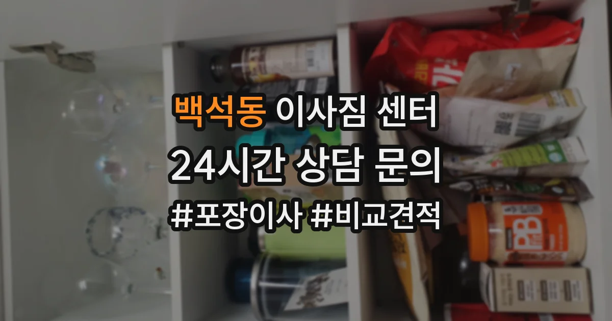 백석동 이사짐 센터