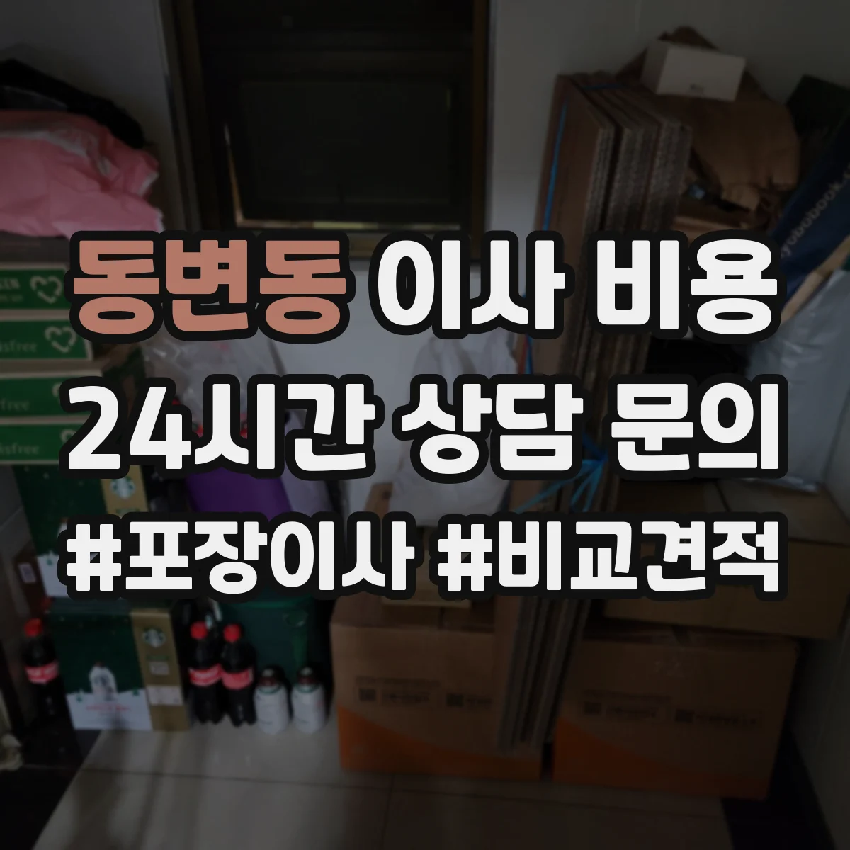 동변동 이사 비용