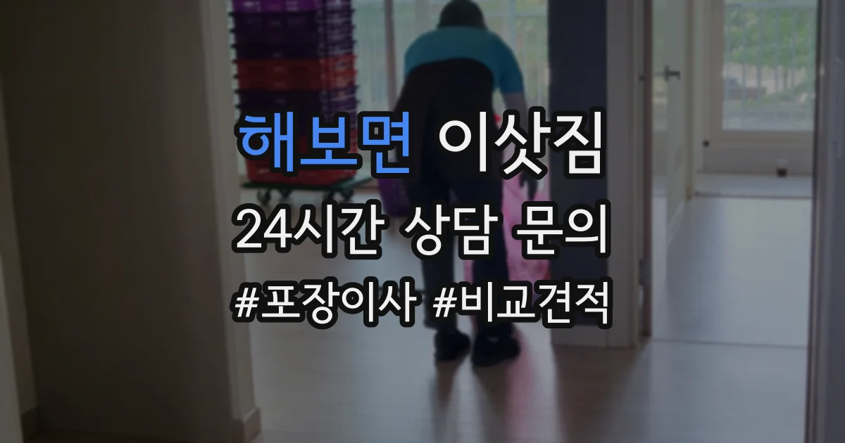 해보면 이삿짐