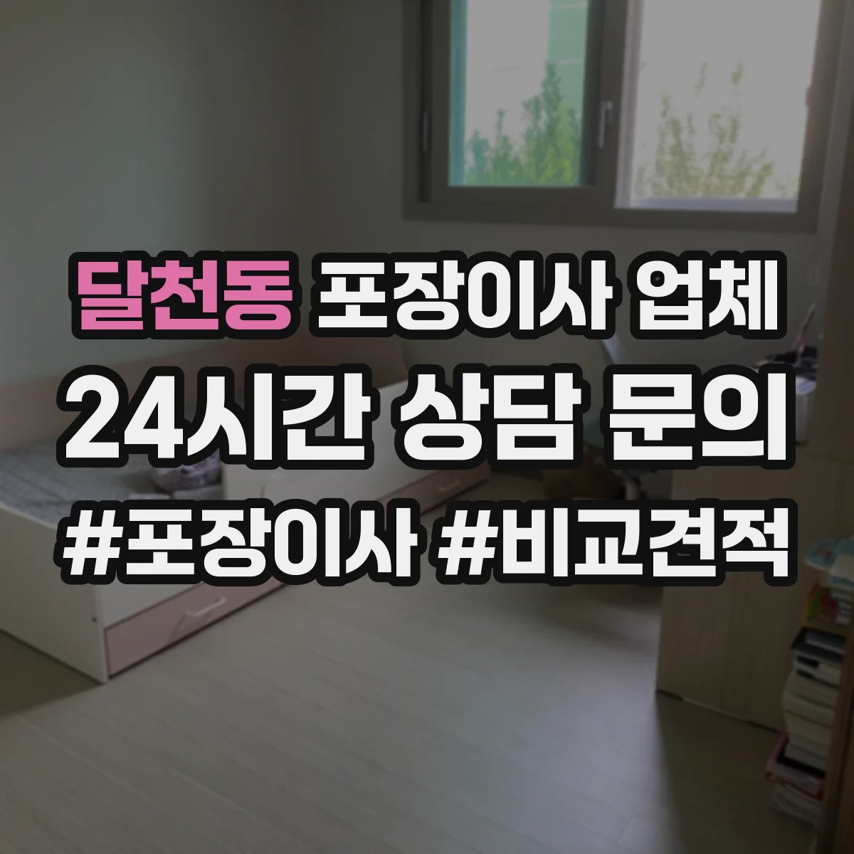 달천동 포장이사 업체