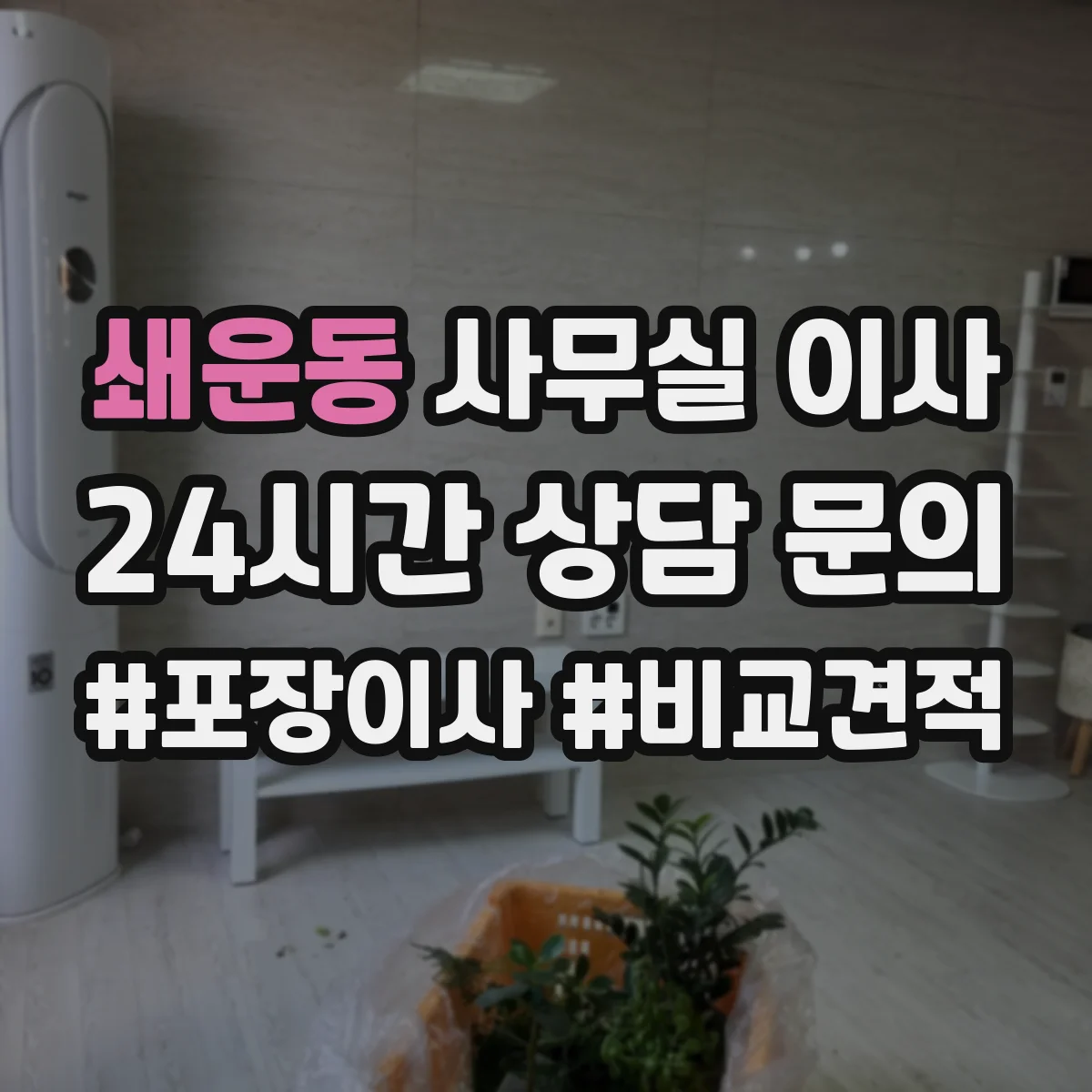 쇄운동 사무실 이사