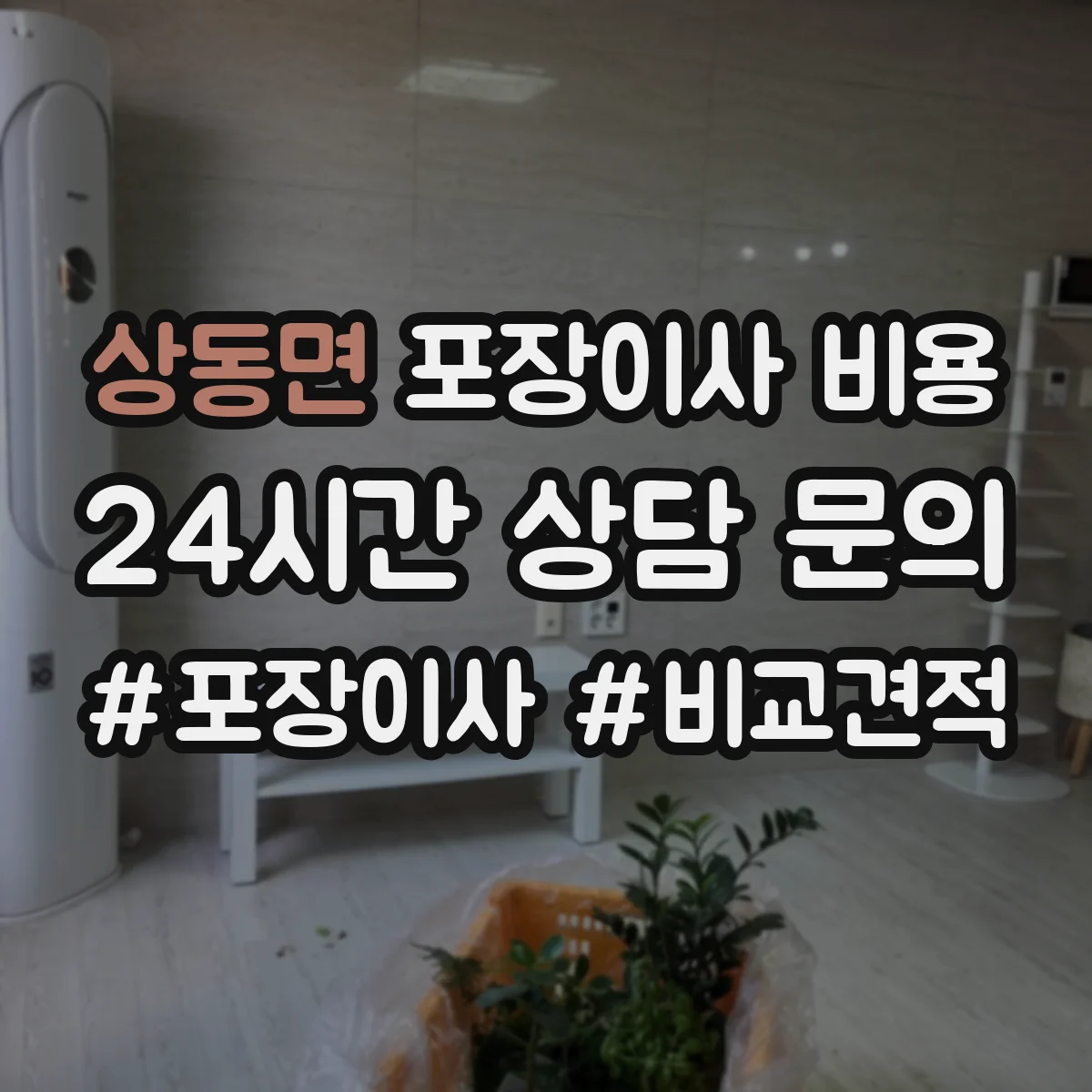 상동면 포장이사 비용