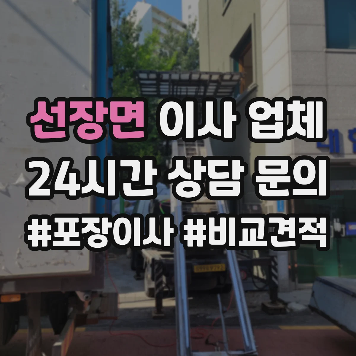 선장면 이사 업체