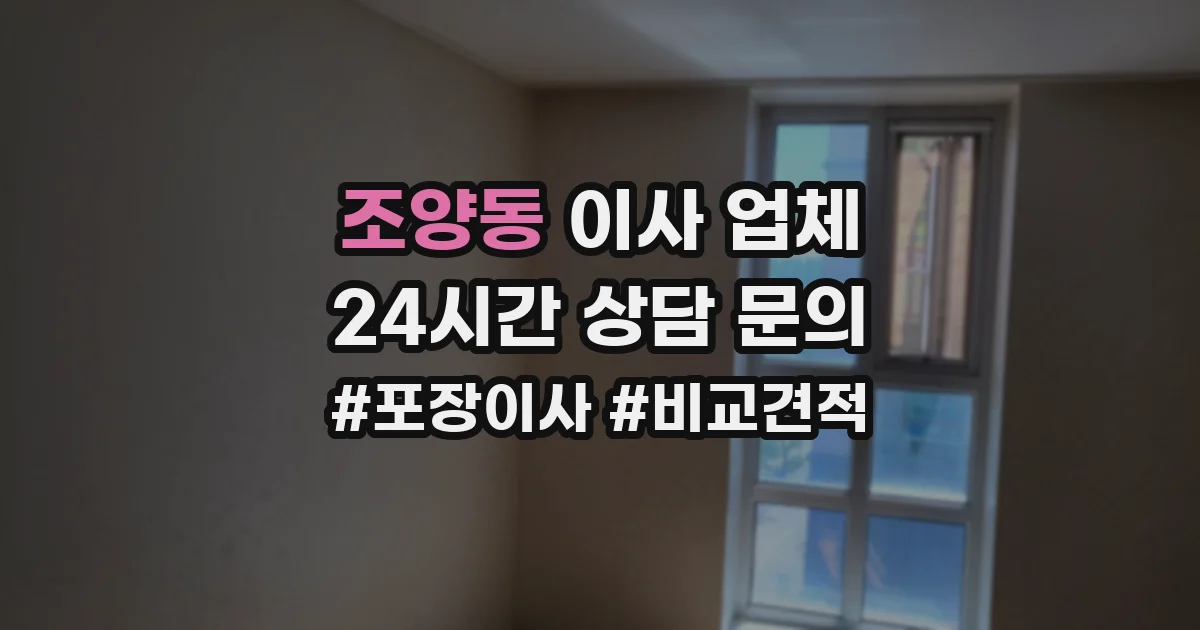 조양동 이사 업체