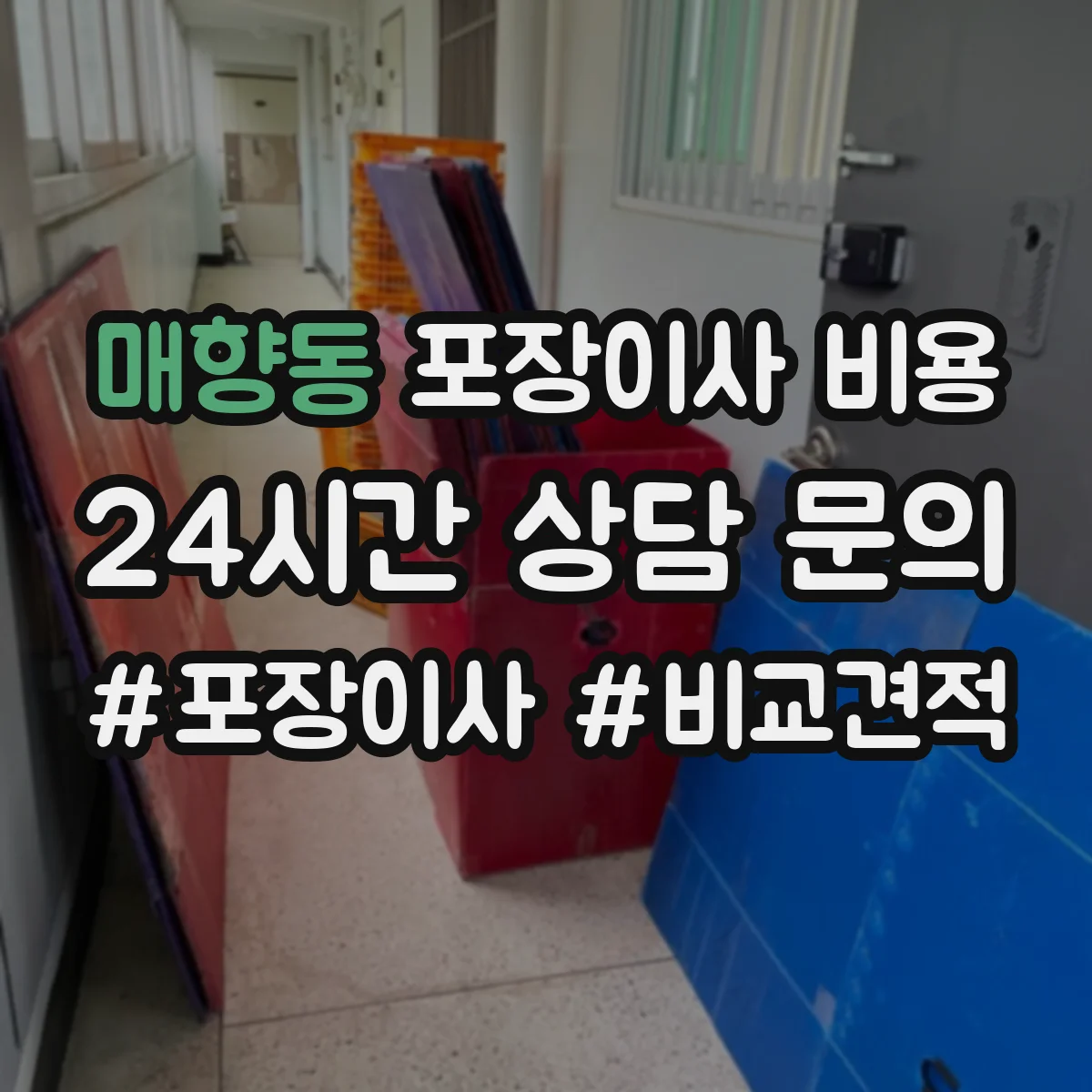 매향동 포장이사 비용