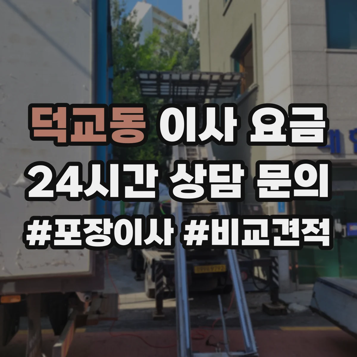 덕교동 이사 요금