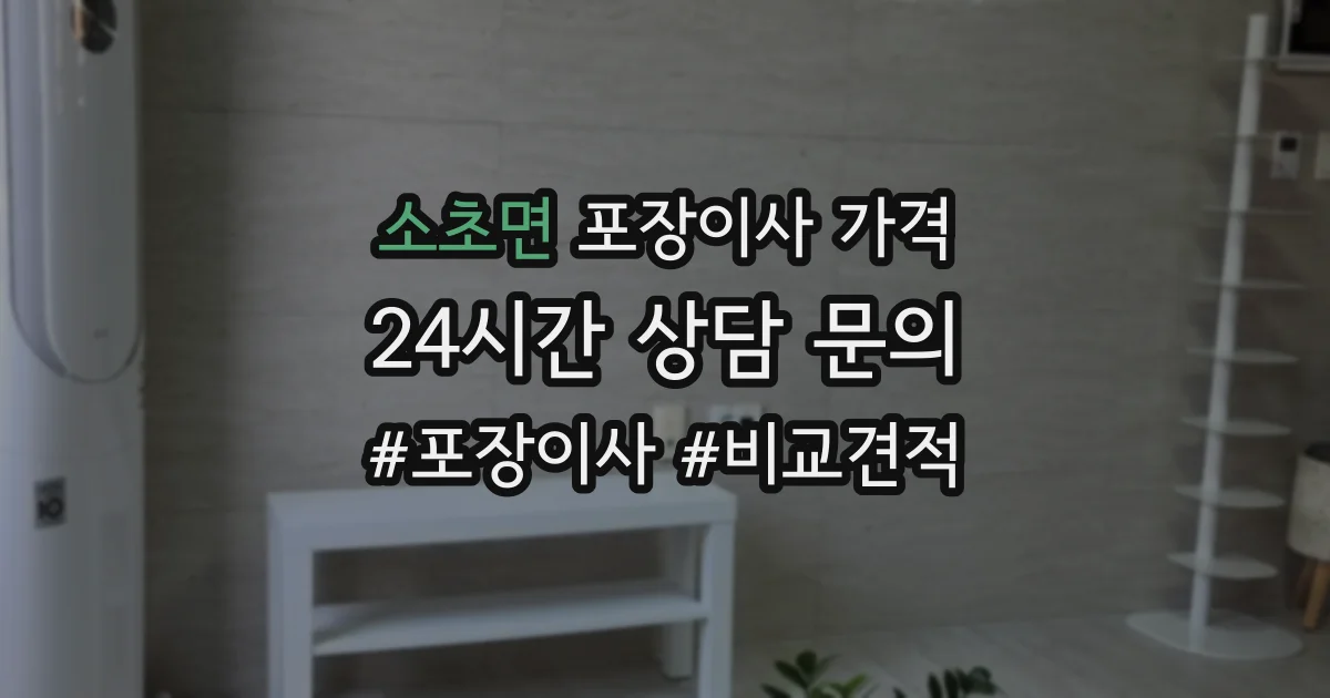 소초면 포장이사 가격