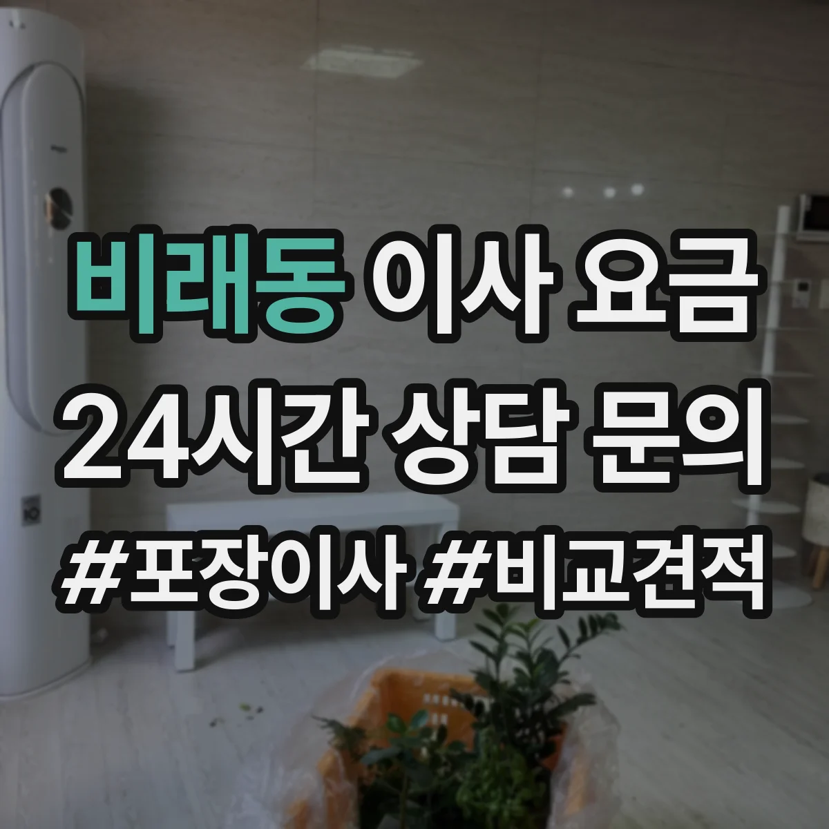 비래동 이사 요금