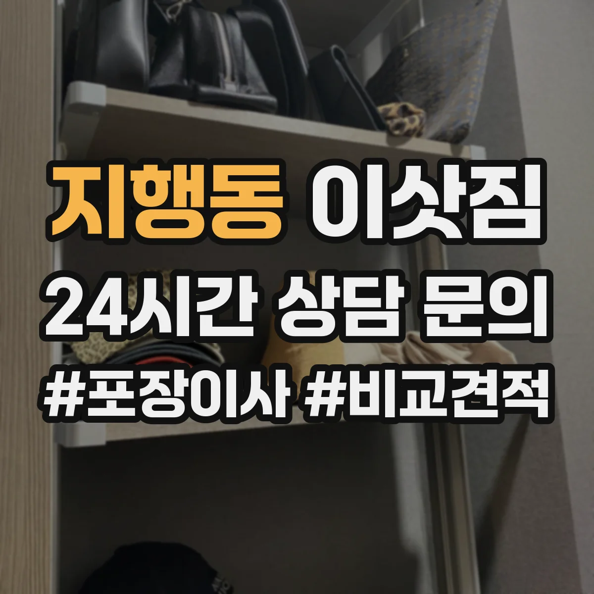 지행동 이삿짐
