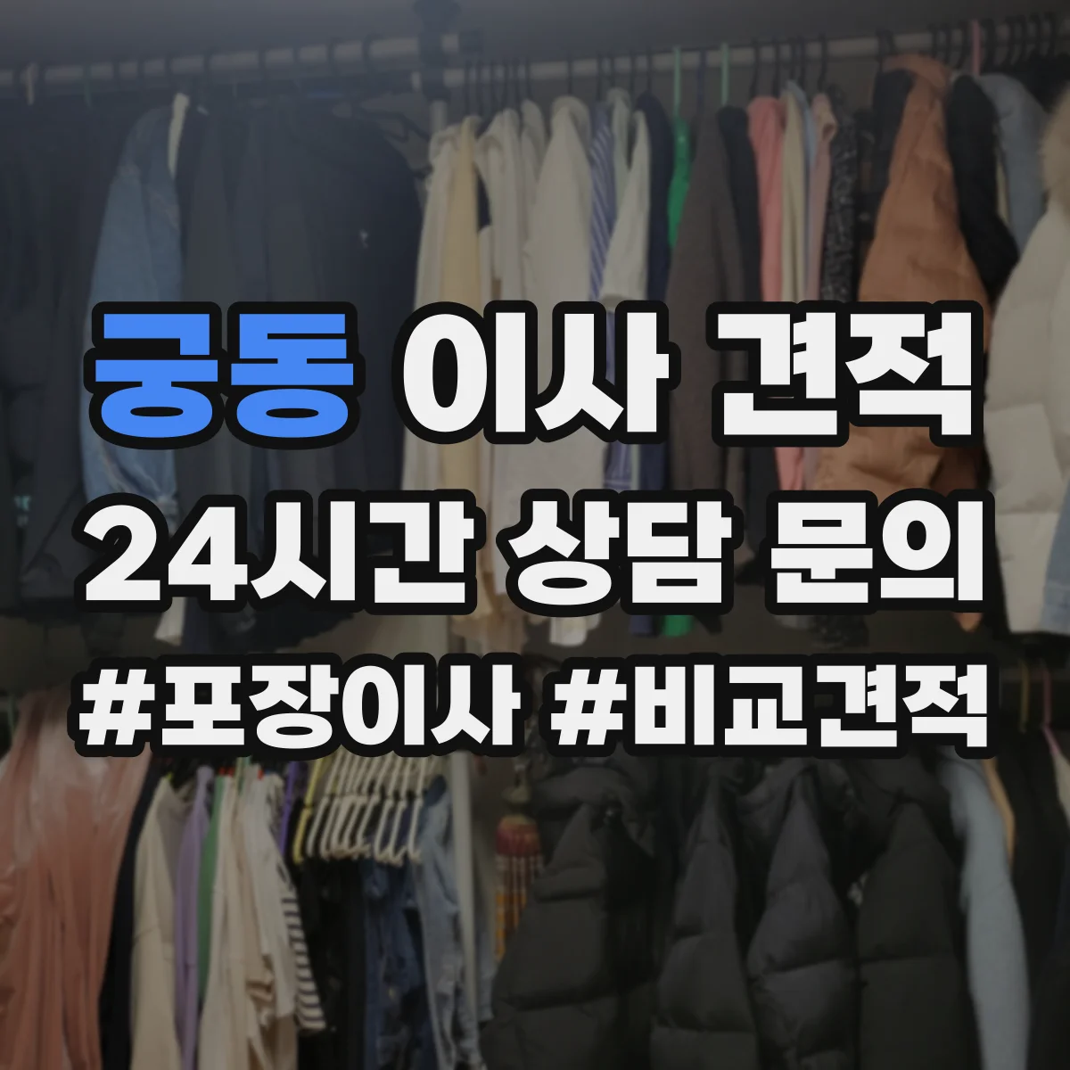 궁동 이사 견적