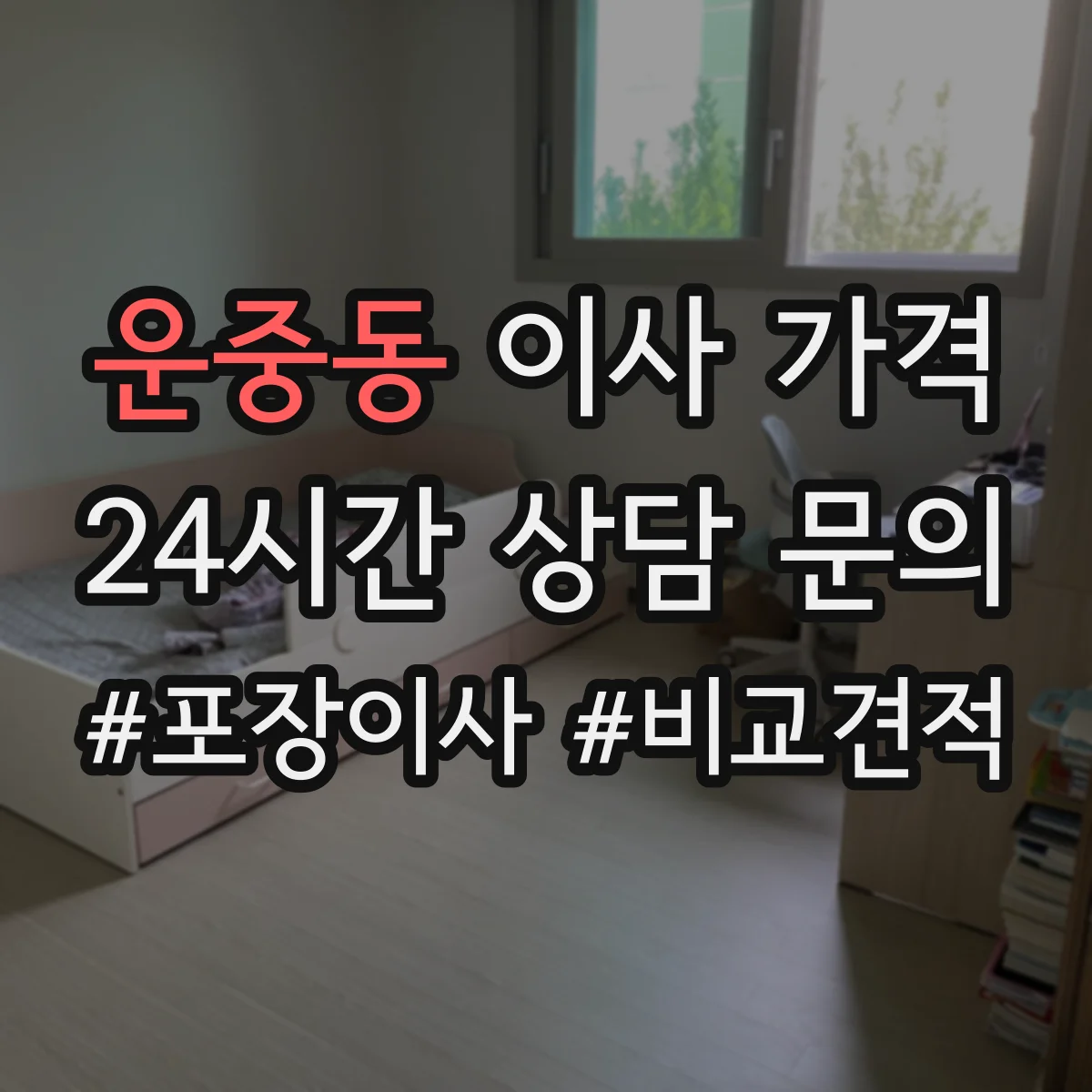 운중동 이사 가격