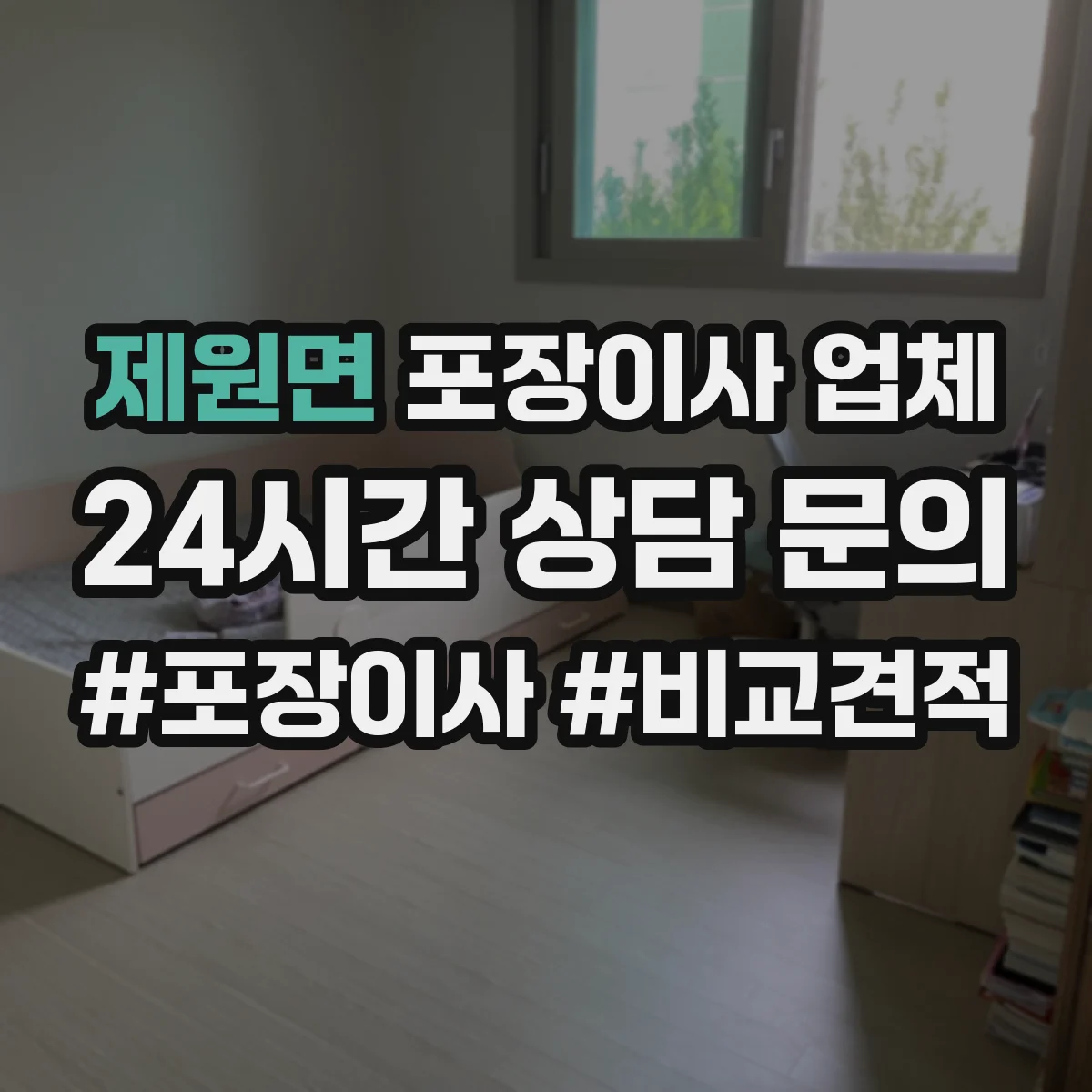 제원면 포장이사 업체