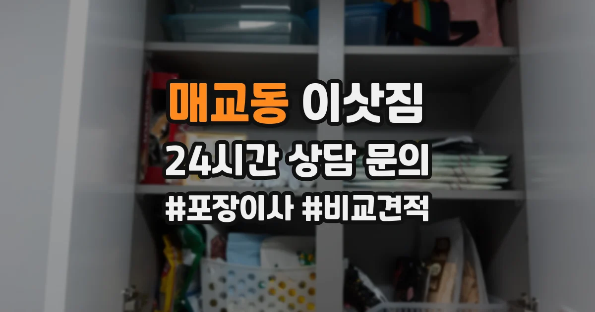 매교동 이삿짐