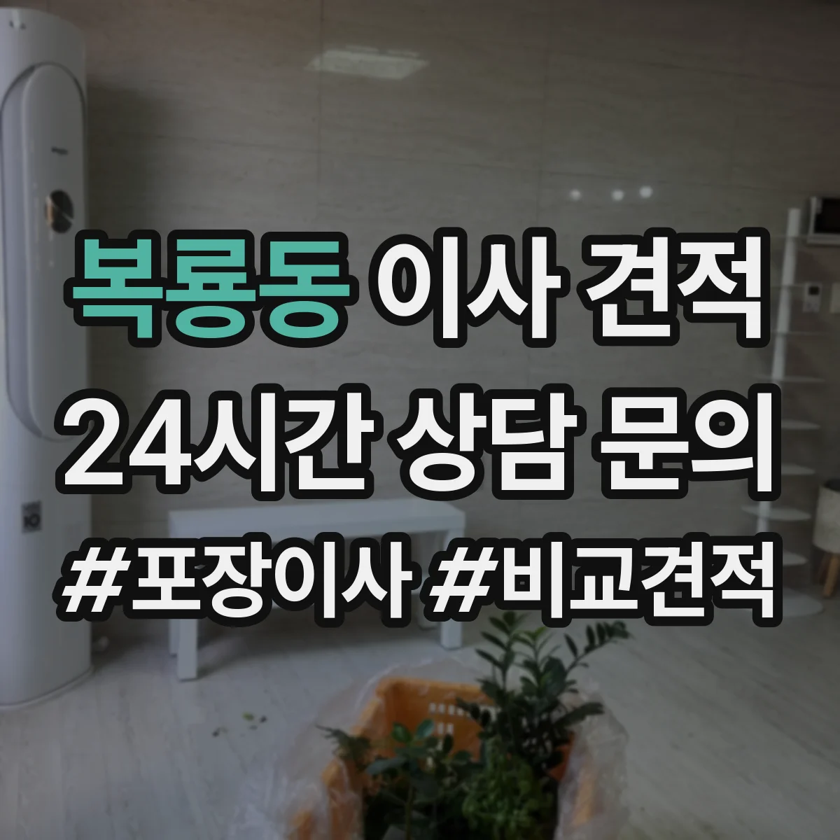 복룡동 이사 견적