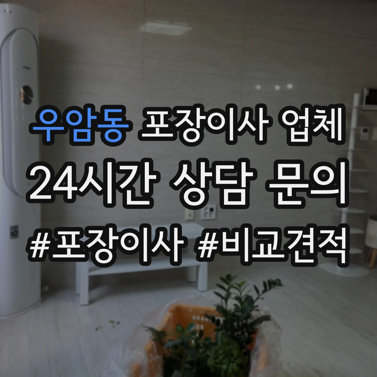 우암동 포장이사 업체