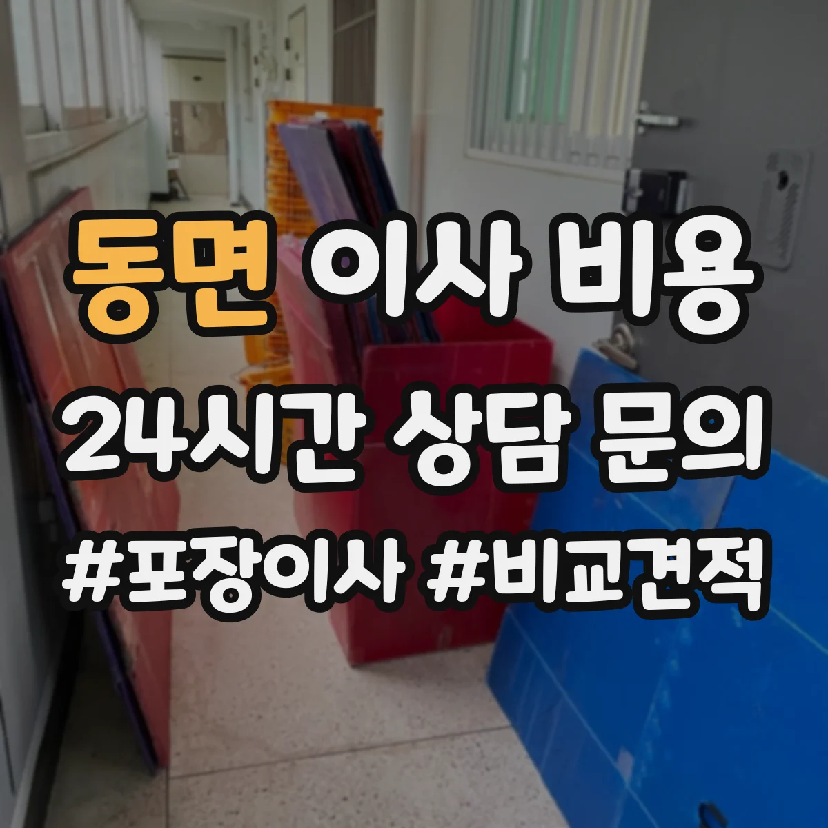 동면 이사 비용