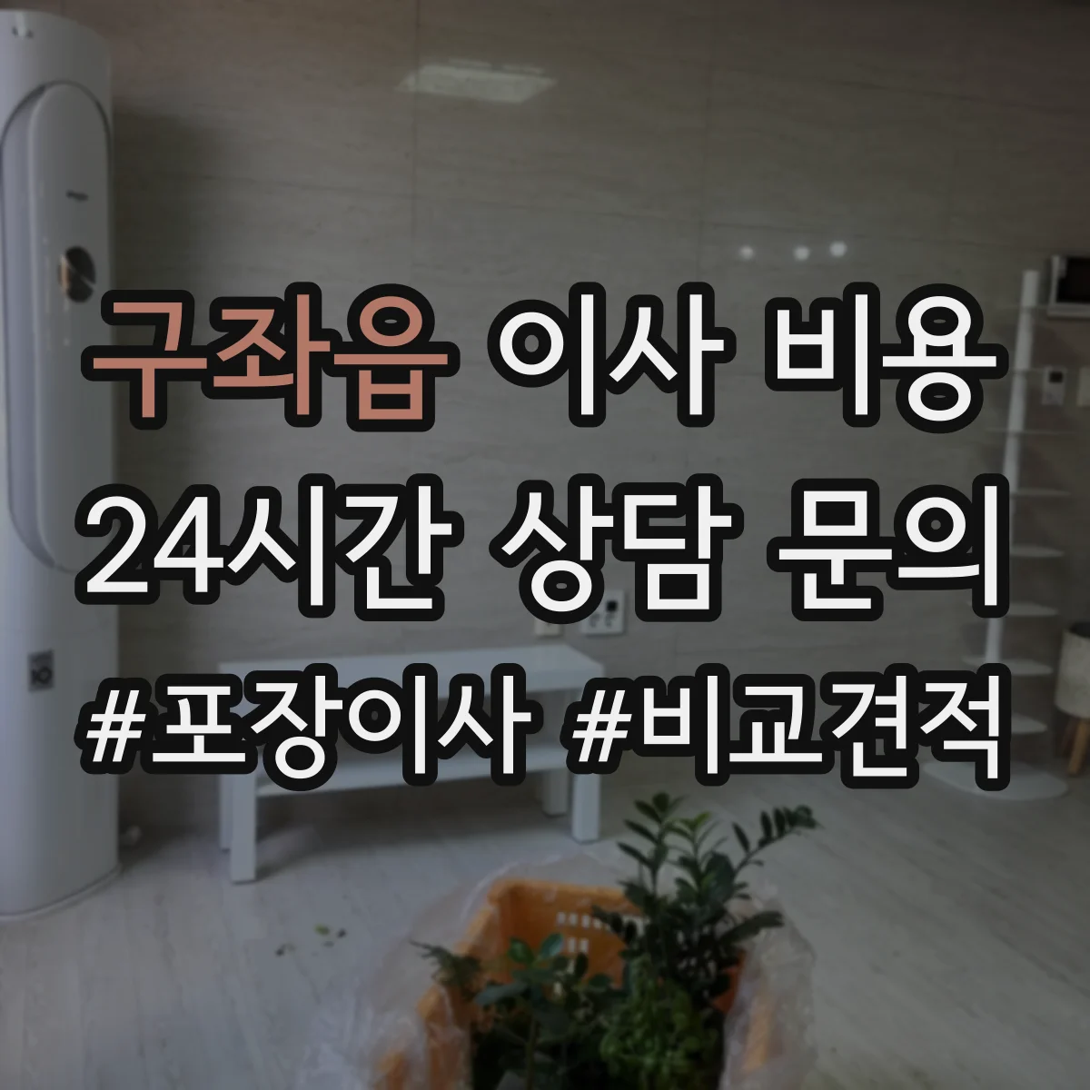 구좌읍 이사 비용